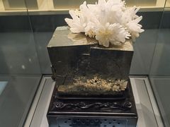 -安徽省地质博物馆