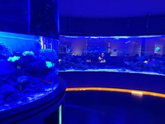 -上和臻品中国菜(花园街店)