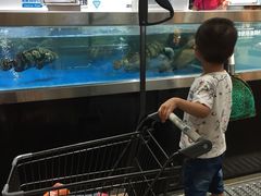 -盒马鲜生(莱蒙都会店)