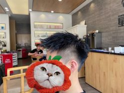 -星格造型·Hair Salon