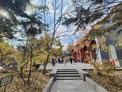 -哈尔滨极乐寺
