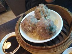 香菜山药牛肉丸-添运来(茶园奥园广场店)