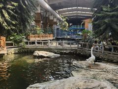 -南宫五洲植物乐园