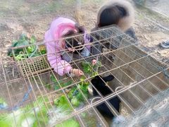 -嘉北郊野公园