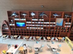 -贝林大翅鲸简餐厅(国家海洋博物馆店)