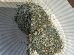 -缸鸭狗(天一广场店)
