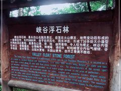 -峡谷浮石林景区
