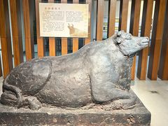 -淮安市博物馆