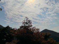 -梧桐山风景名胜区