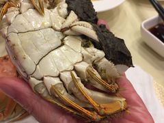 -王宝和酒家(黄浦店)