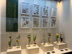 -广东中医药博物馆