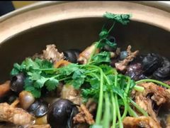 -食爺炭炉鸡煲·烧烤