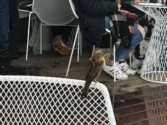 -Takapuna Beach Cafe