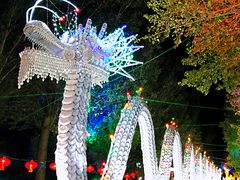 -哈尔滨文化公园