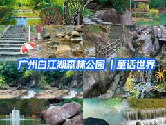 -广州白江湖森林公园
