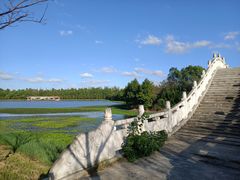 -上海海湾国家森林公园