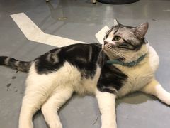 -小时光咖啡馆(开森度假森林店)