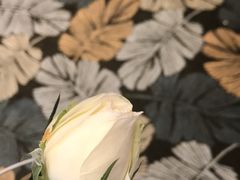 -北京园博大酒店