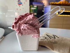 杨梅冰淇淋-野人牧坊Gelato(天津南开大悦城店)