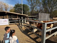 -圣露庄园·露营·烤肉·亲子