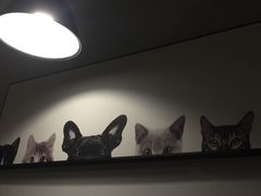 -吃饼人西餐(南开店)