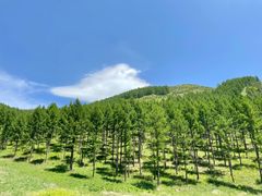 -塞罕坝国家级自然保护区