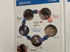 -宠福鑫动物医院(城北分院)