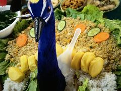 -西双版纳原始森林公园