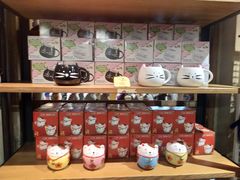 -猫咪博物馆(顶澳仔猫街店)