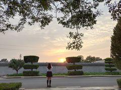 -石家庄市植物园