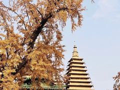 -北京石刻艺术博物馆(五塔寺)
