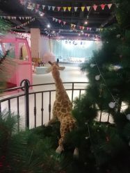 -塔塔王国·主题儿童游乐园(奥城商业广场店)