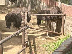 -石家庄市动物园