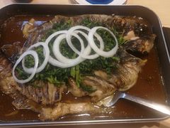 -鱼酷活鱼烤鱼(沈阳大悦城店)