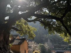 -杨家堂村