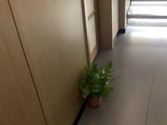 -耳湾躺式采耳SPA馆(保利五月花店)