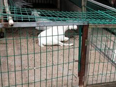 -明珠湖天鹅苑·农家菜馆