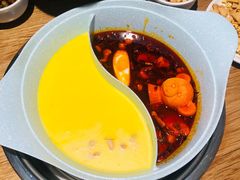 -青瓷火锅料理(西单大悦城店)