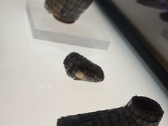 -临沂市博物馆
