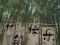 -沂蒙云瀑洞天景区