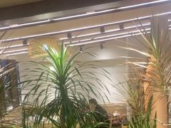 -多哥水傣味餐厅(司马巷店)