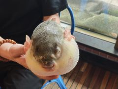 -永安鱼庄·镇江菜(丁卯店)