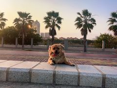 -厦门途易蓝罗约海景温泉酒店(园博苑地铁站店)