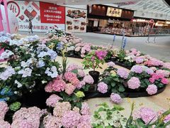 -上海长风大悦城