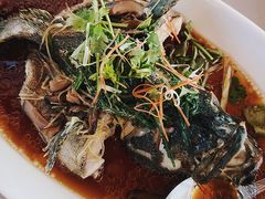 清蒸石斑-真浪花园海鲜餐馆