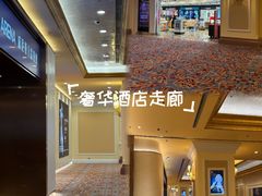-澳门威尼斯人综合度假区