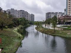 -新江湾城公园