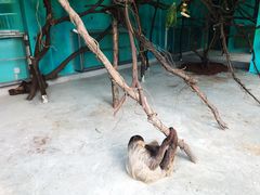 -无锡动物园·太湖欢乐园