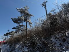 -四明山国家森林公园