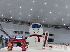 -哈尔滨热雪奇迹